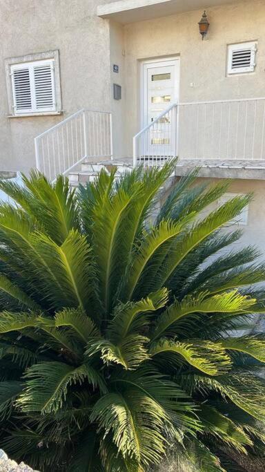 Apartment Biggy 챠브타트 외부 사진