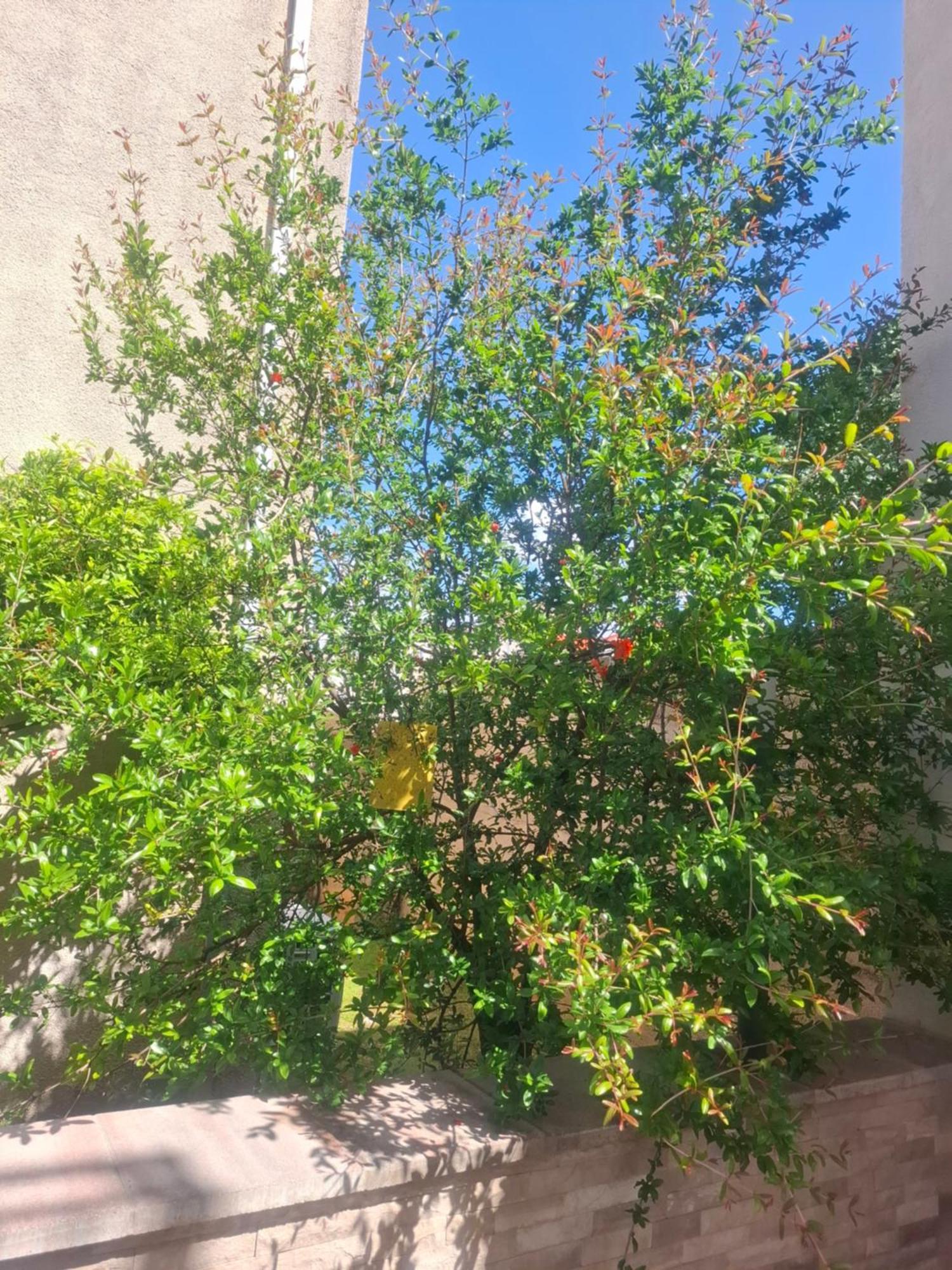 Apartment Biggy 챠브타트 외부 사진